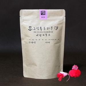식물키우기 틔움 직접 꾸미는 그림봉투화분 봉선화 키우기세트