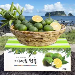 서귀포 효돈 농장 청귤 풋귤 혼합과 5kg