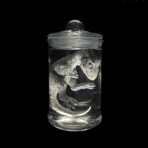 쥬라기 월드 TRex 티라노사우르스 렉스 Draco Rex Dino 아기 InGen 배아 항아리 LED 램프 포함
