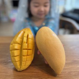 태국 남독마이 골드 망고 2kg(4~5과)