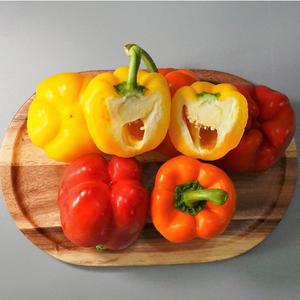 아삭아삭 비타민 가득 파프리카 5kg