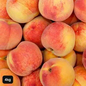 25년 햇 열매나무 경북 황도 복숭아 4kg