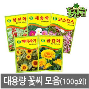 씨앗모음 꽃씨앗 100g외 코스모스 해바라기 금계국 씨