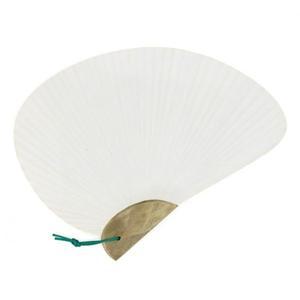 조개부채(29cm)