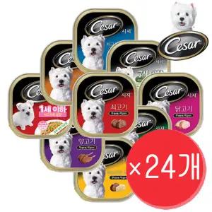 시저  강아지 습식 주식캔 사료 100g x 24개 세트