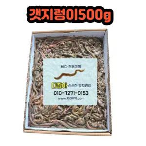 생물 갯지렁이 청개비 500g 낚시 미끼