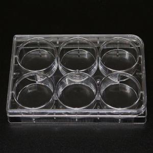 6홀 다용도 홈판(5P)/과학/실험/수업/세포배양/6구플레이트