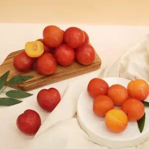 새콤달콤 자두 못난이 5kg 랜덤과