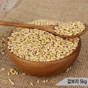 건강알곡 겉보리 5kg 앵무새 햄스터 모이 간식 사료
