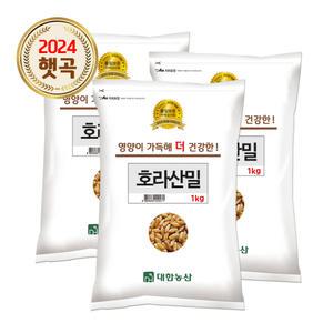 호라산밀 3kg (1kgx3봉) / 고대곡물 통곡물 안전박스포장