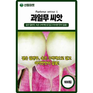 산들마켓 과일무 씨앗 100립 겉은 일반무 속은 수박색으로 달고 아삭한 맛이 일품인 고급 품종 종자