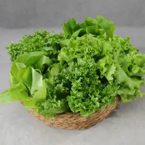 국내산 유러피안 샐러드 쌈 채소 1kg (4-6종 랜덤발송)