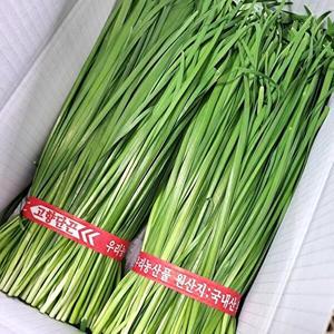 국내산 손질 부추 2단 (1.5kg 내외)
