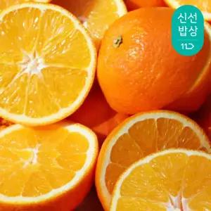 [품질보장] 고당도 호주 네이블 오렌지 중과 3kg (15~17입)