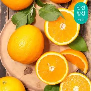 [품질보장] 고당도 호주 네이블 오렌지 중과 4kg (20~22입)