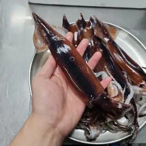 국산 냉동 오징어 1kg(6미 내외)