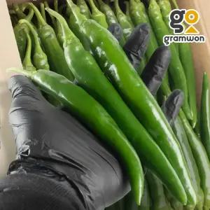 오이고추 아삭이 고추 풋 안매운 못난이 2KG