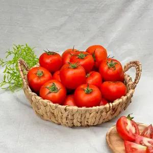 탱글탱글 맛있는 완숙 찰토마토 5kg 소과