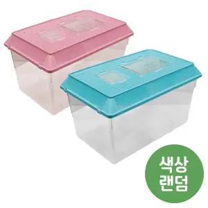 펫츠핸들러 사육통&채집통 사각 왕특대 (색상랜덤)