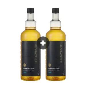 [내일도착]불스원 불스원샷 시그니처 500ml, 2개입