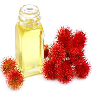 피마자오일100ml/피마자유/천연화장품/Castor oil