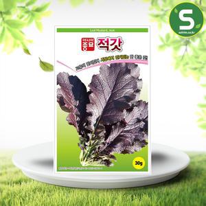 적갓씨앗 30g 갓씨앗종자 쌈채소 민속채소 맛좋은갓