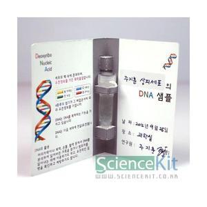 DNA추출 II -동물세포 (4인)