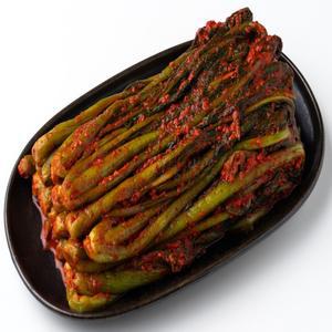 전라도 장성 집밥 숙성갓김치 2,3kg 포장