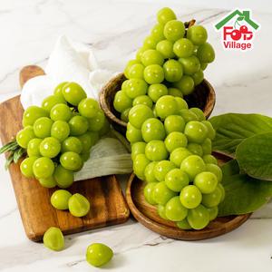 [푸드빌리지] 달콤한 고당도 망고포도 샤인머스켓 2kg