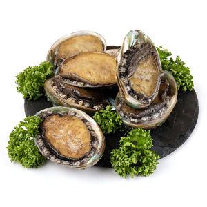 완도 소전복  32미 1.4kg (미당40~50g내외)