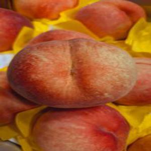 고당도 딱딱이복숭아 10kg (30~60과)