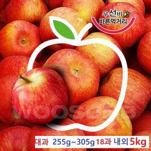 햇 빨간사과 홍로 경북사과 5kg - 대과 255g~305g 18과 내외