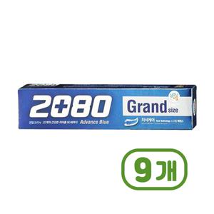 [기타]2080 어드밴스그랜드치약 대용량치약 220g X 9개
