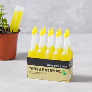 BFA 모든식물용 앰플영양제 (10입)