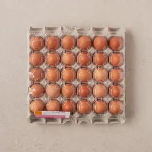 남도계란 30개입 (대란, 1560g)
