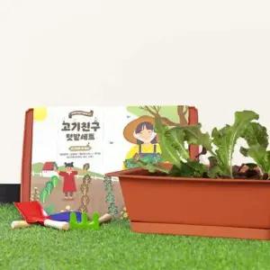 꿈쟁이 고기친구 텃밭세트(화분물받침포함)