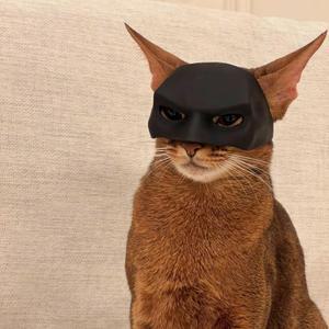 고양이 베트맨 가면 마스크 코스튬 소품 반려동물