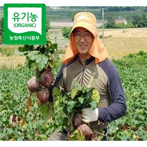 2025년 봄 수확 해남 유기농 햇 레드비트 5kg