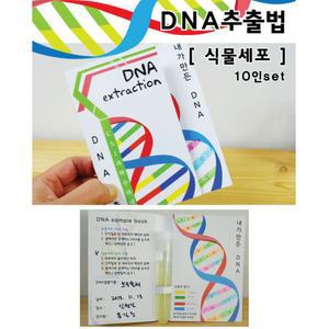 학교 과학 수업용 식물세포 DNA 추출 실험키트 10인용 과학실 실험실 DIY실험