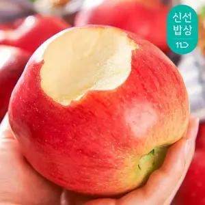 경북 산지수확! 아삭달콤 홍로사과 가정용 2kg / 15과내외