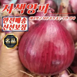 전남 무안 황토골 자색양파 소미니혼합 5kg