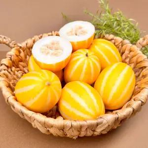 성주 못난이 참외 고당도 GAP 가정용 1kg