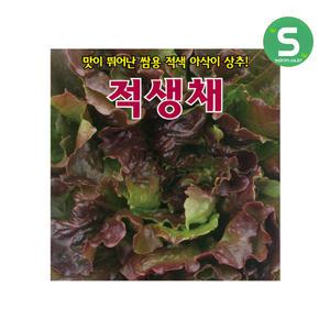 적생채 씨앗 300립 생채 상추 씨앗 아삭이 상추 종자