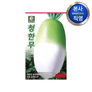청한무 씨앗 120g . 야채 채소 무우 가을 파종 김장 텃밭 재배 씨 종자