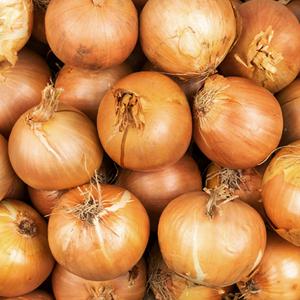 명품수랏간 해풍 무안 햇양파 (특) 3kg