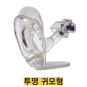 -미국 GPI/투명 귀모형 G2251/외이도 고막 등자뼈 모루뼈 망치뼈 내이의 달팽이관 관찰 실물 크기