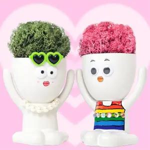 스칸디아모스 상상이 화분 만들기 DIY 키트 공기정화식물 드로잉화분 플랜테리어 승진 개업 집들이 선물 인