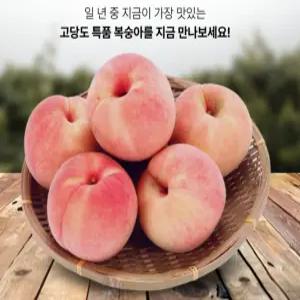 여름복숭아 4kg 16개~20개 랜덤 발송