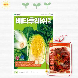 팜한농 흥농 베타후레쉬 300립 황금 배추 씨앗 씨 종자