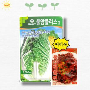 팜한농 흥농 불암플러스 1000립 2000립 김장 가을 배추 씨앗 씨 종자
